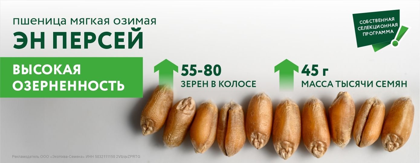 Персей