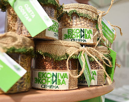 Семена – основа вашего будущего
