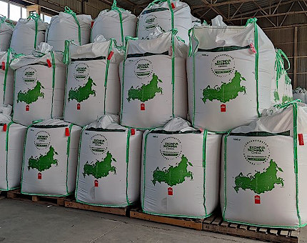 «ЭкоНива» увеличила продажи семян озимой пшеницы